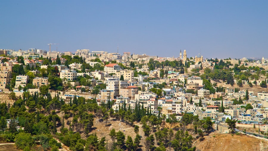 Haas Promenade showing a city and landscape views