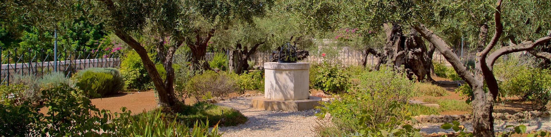 Garden of Gethsemane featuring a garden