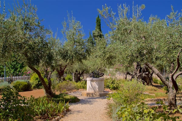 Garten Gethsemane das einen Park