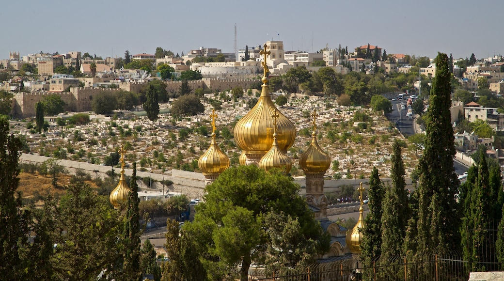 Church of Mary Magdalene which includes heritage architecture, landscape views and a city