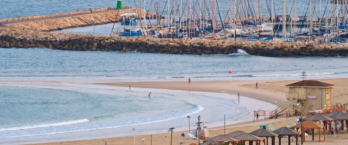 Plage Frishman mettant en vedette plage, vues littorales et baie ou port