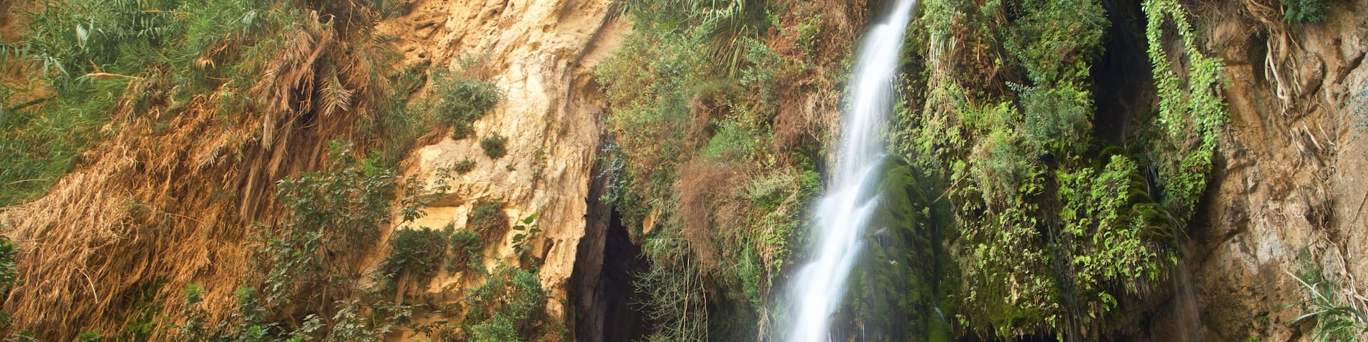 Ein Gedi National Park which includes a waterfall