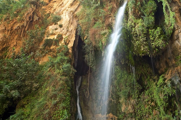 Ein Gedi Nationalpark welches beinhaltet Wasserfall