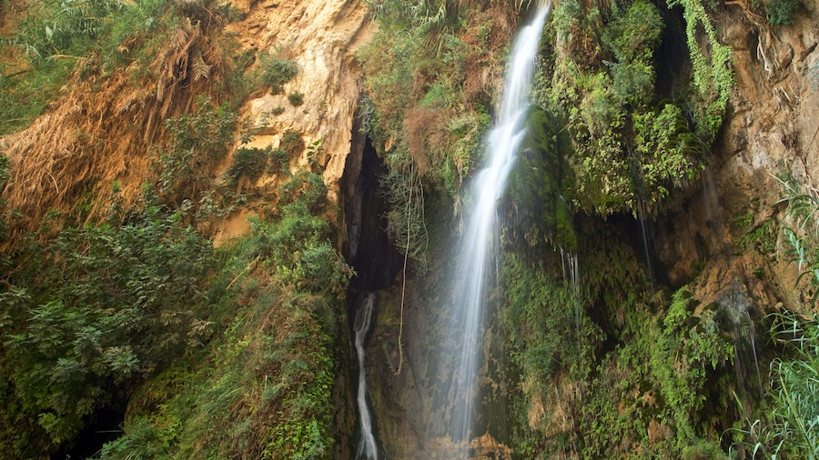 Ein Gedi Nationalpark og byder på en kaskade