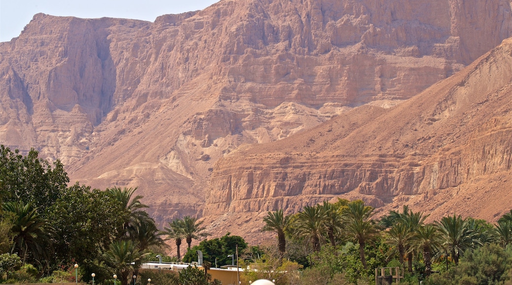 Jardín botánico Ein Gedi que incluye vista al desierto y una garganta o cañón