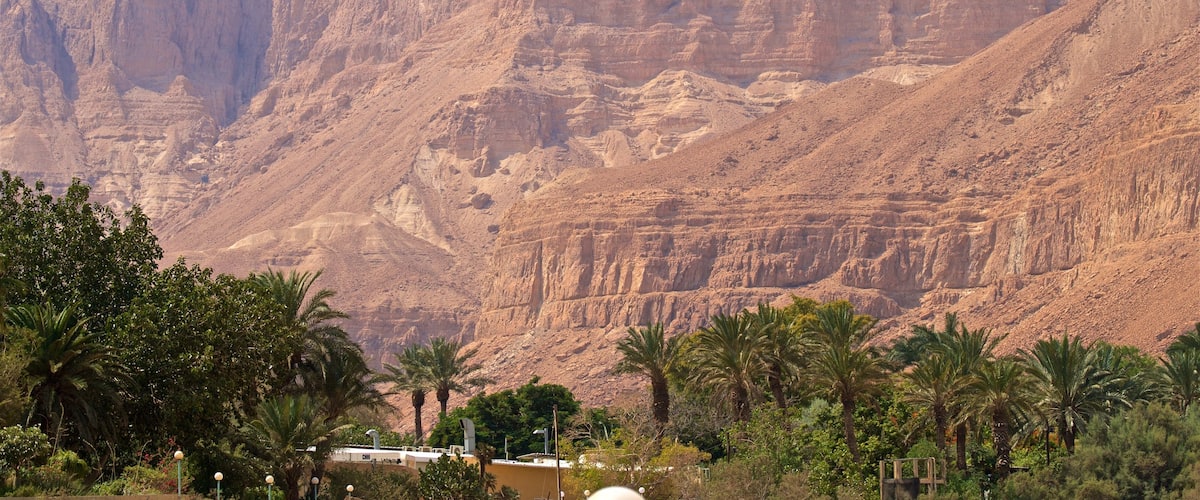 Ein Gedi Botanical Garden featuring a gorge or canyon and desert views