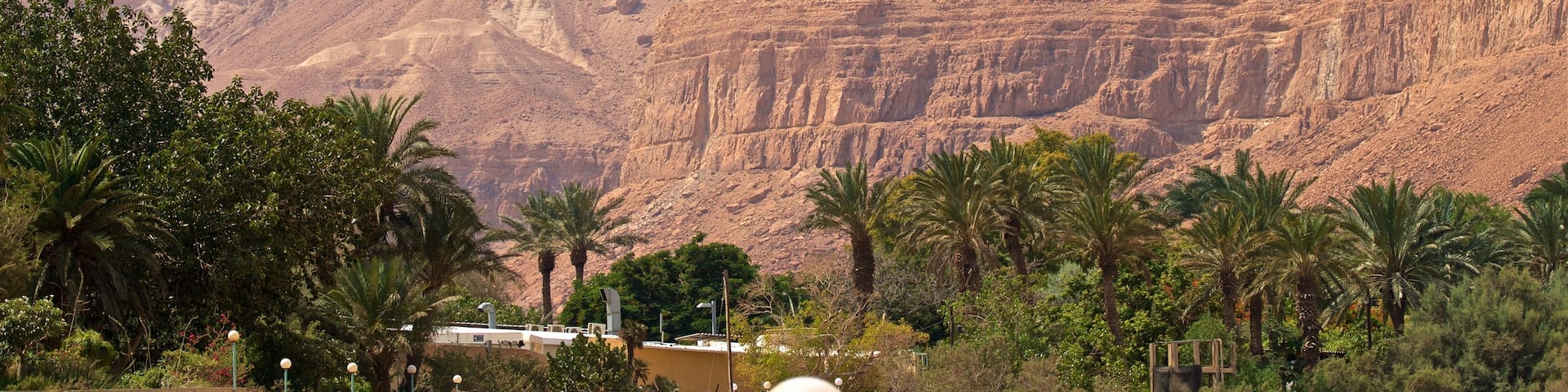Ein Gedi Botanical Garden featuring a gorge or canyon and desert views