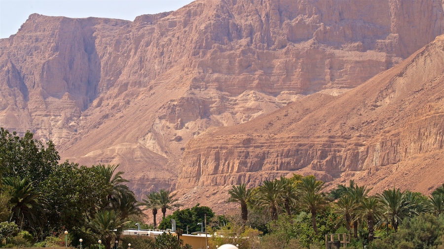 Jardín botánico Ein Gedi que incluye un barranco o cañón y vistas al desierto