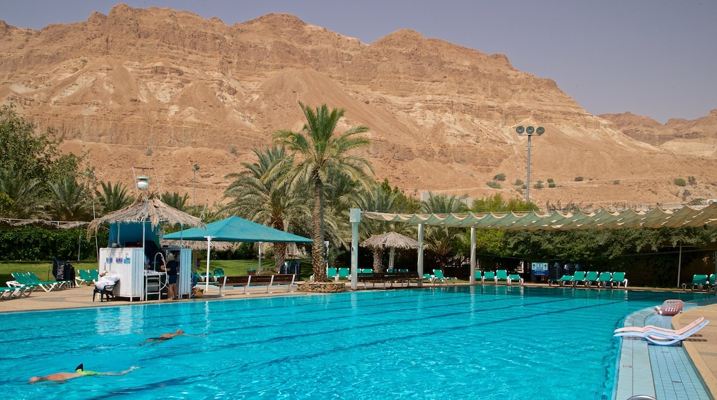 Ein Gedi Botanical Garden featuring a pool, a gorge or canyon and desert views