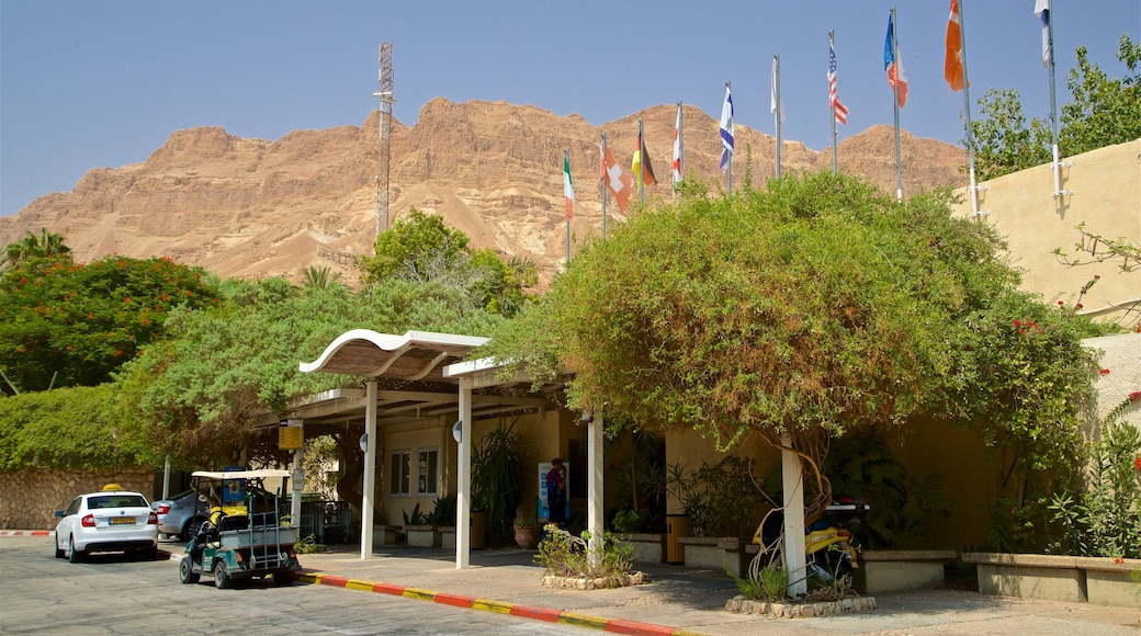 Ein Gedi botaniske hage som viser fjell