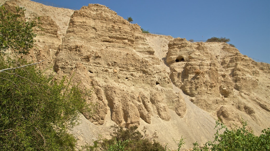 Parco Nazionale di Ein Gedi mostrando gola o canyon e vista del deserto