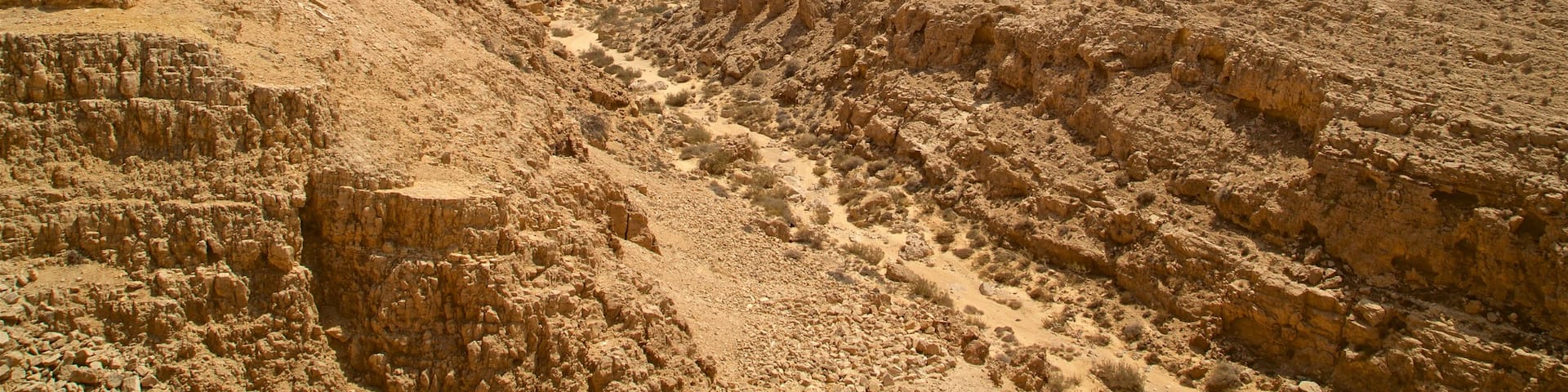 Mamshit National Park which includes a gorge or canyon, desert views and landscape views