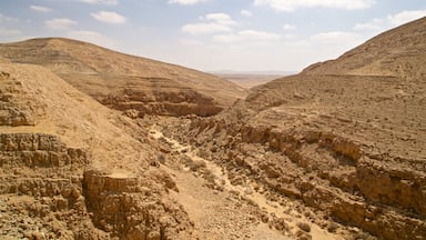 Mamshit National Park showing a gorge or canyon, desert views and landscape views