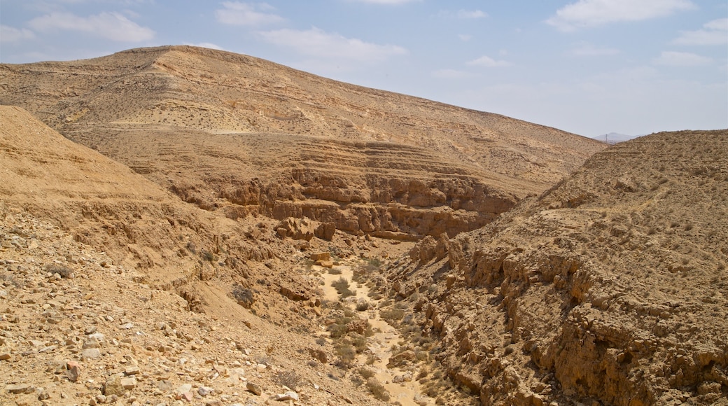 Mamshit National Park showing a gorge or canyon, desert views and landscape views