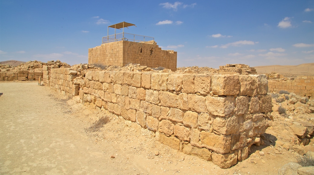 Mamshit National Park showing desert views, a ruin and heritage elements