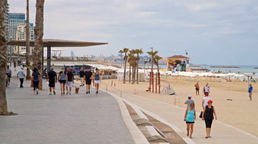 Paseo Lahat Promenade mostrando una ciudad costera, una playa de arena y vistas generales de la costa