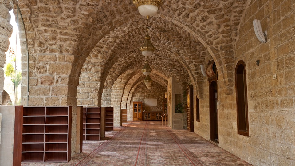 Mahmoudiya Mosque which includes heritage elements and interior views