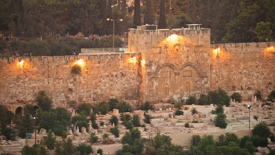 Golden Gate which includes heritage architecture and landscape views