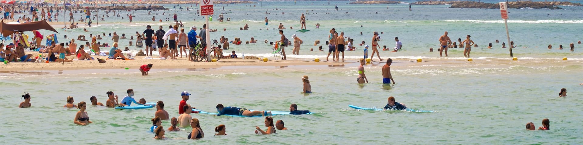 Plage Gordon montrant baignade, vues littorales et plage