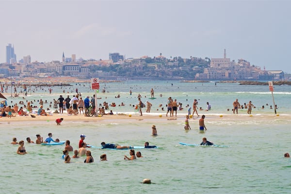 Plage Gordon montrant baignade, vues littorales et plage