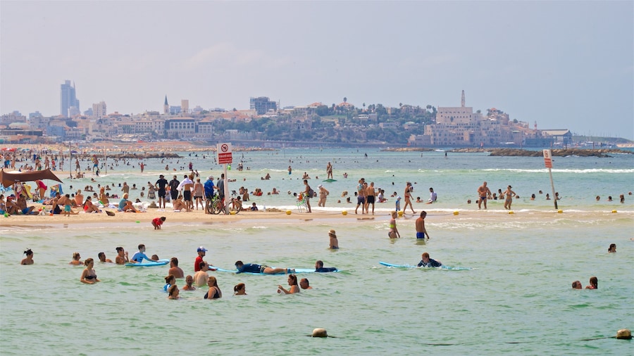 Gordon Beach das einen Sandstrand, Schwimmen und allgemeine Küstenansicht