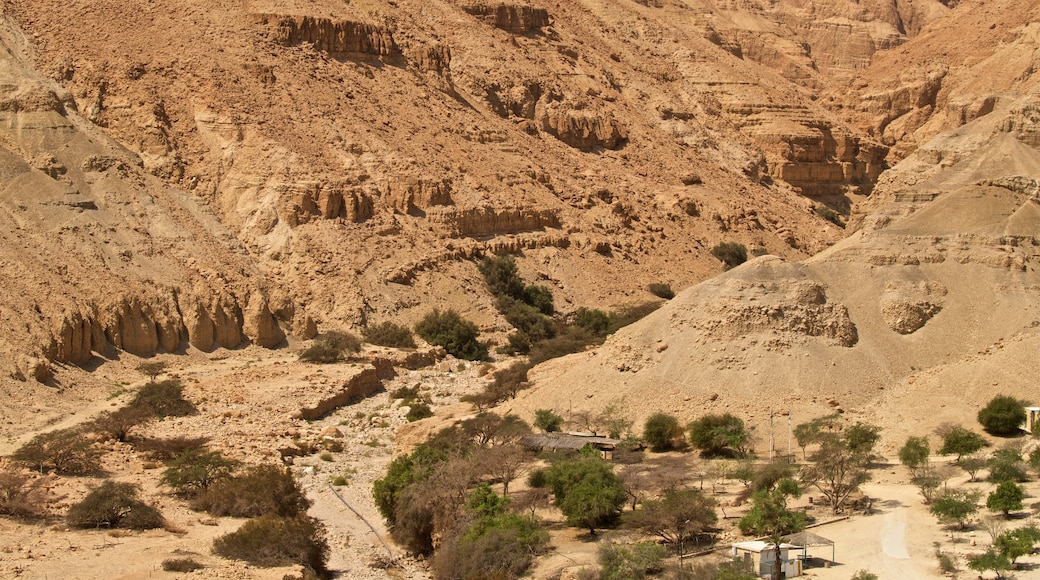 Parque Nacional de Ein Gedi mostrando vistas panorámicas y paisajes desérticos