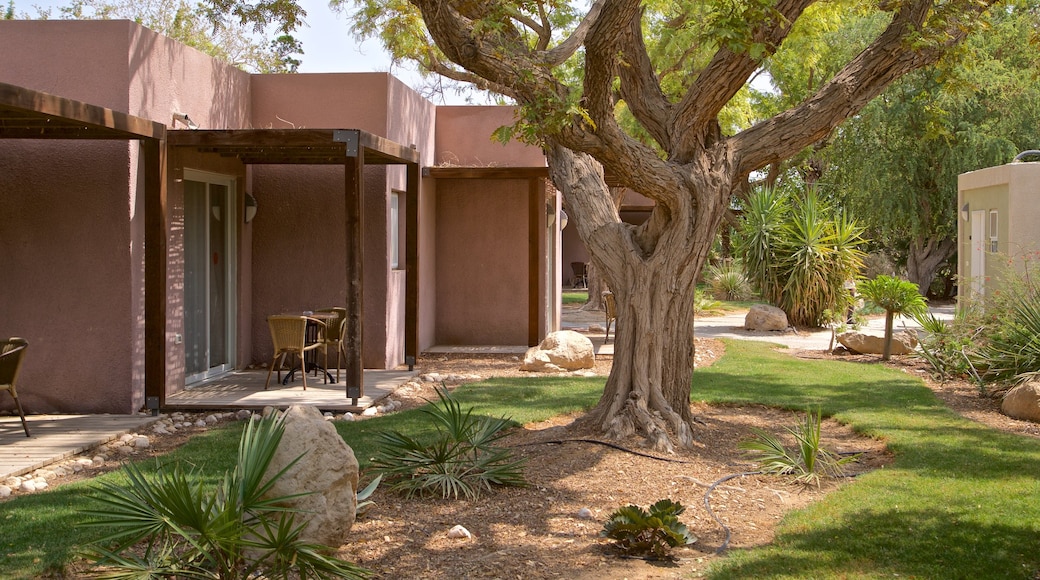 Ein Gedi Botanical Garden showing a park