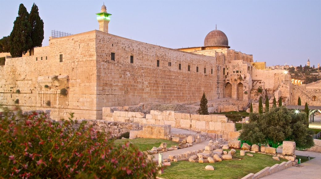 Al-Aqsa Mosque featuring wildflowers, heritage architecture and building ruins