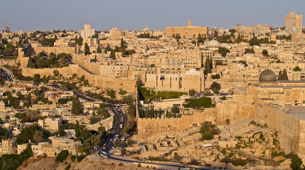 Mount Zion showing a city, landscape views and heritage elements