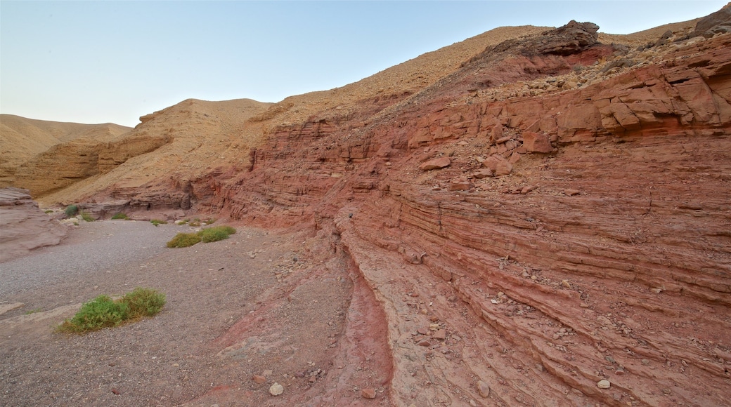 Cañón Rojo mostrando vistas al desierto