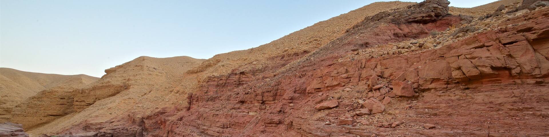 Red Canyon which includes desert views
