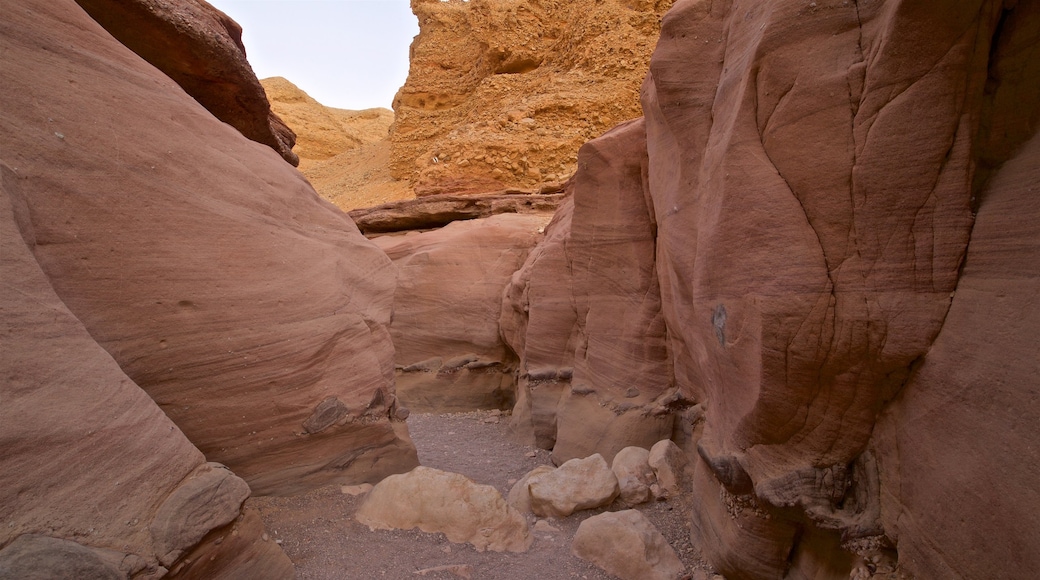 Rode Canyon inclusief een kloof of ravijn