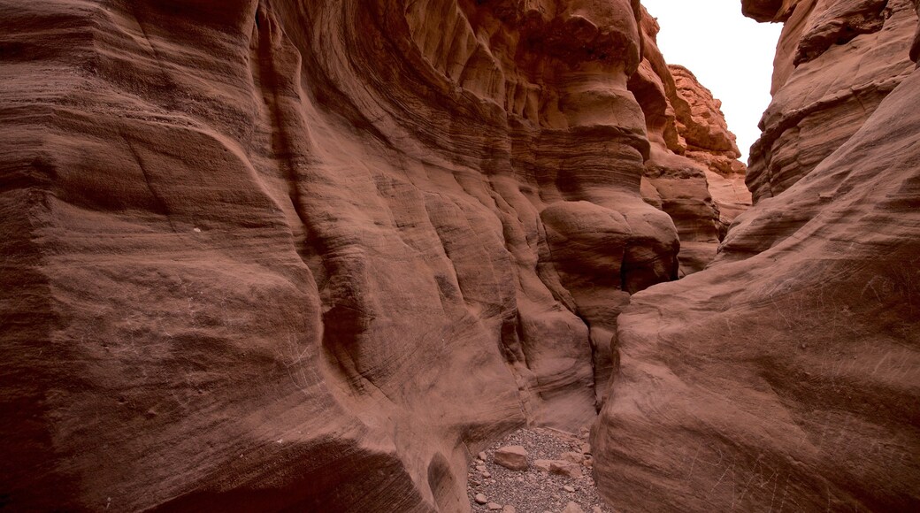 Rode Canyon toont een kloof of ravijn