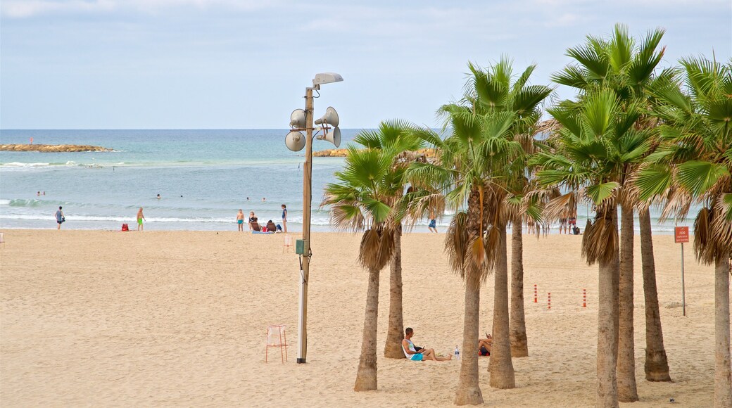 Bugrashov Beach featuring general coastal views and a sandy beach