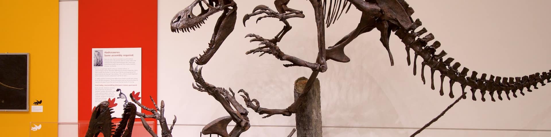 New Jersey State Museum featuring interior views