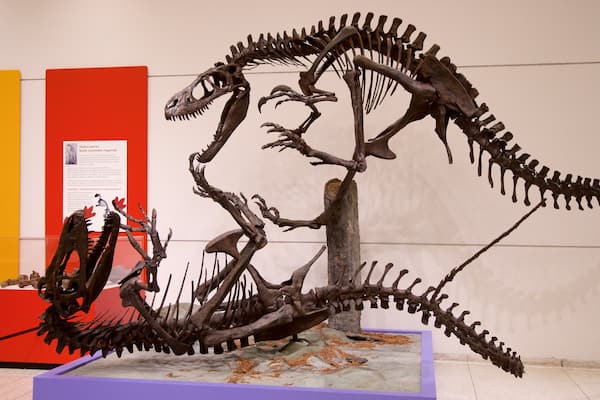 Musée de l\'État du New Jersey montrant vues intérieures