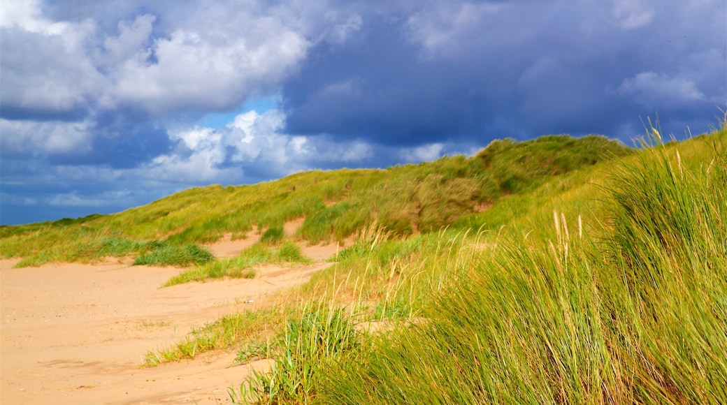 Ainsdale Beach joka esittää maisemat ja rauhalliset maisemat