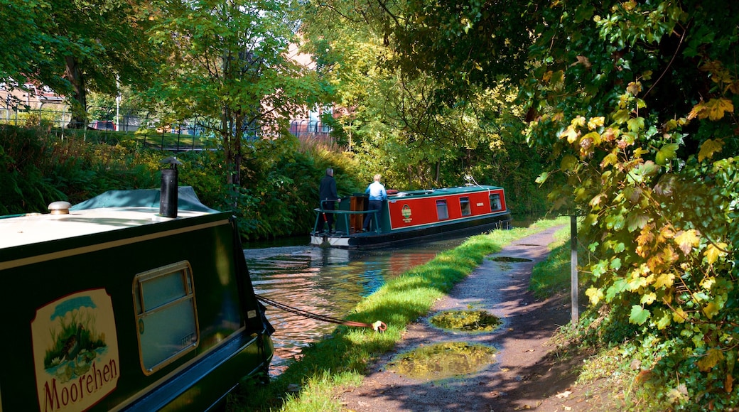 Lymm inclusief een rivier of beek en varen