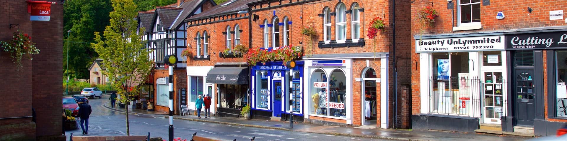 Lymm which includes flowers and a small town or village