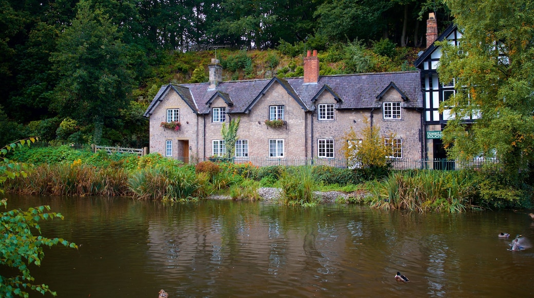 Lymm som viser hus og dam