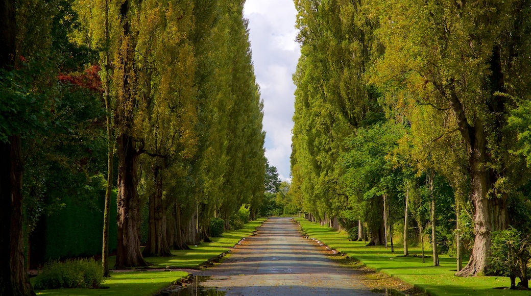 Lymm caracterizando um jardim