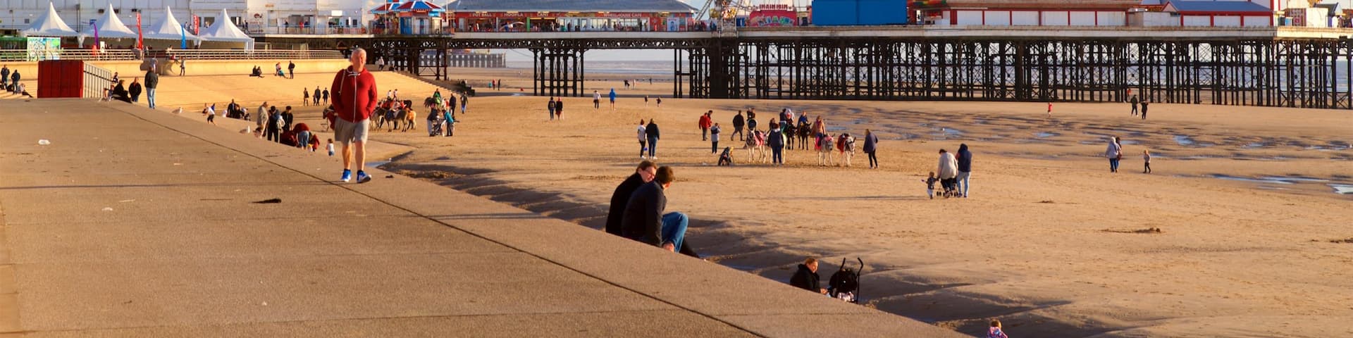 Blackpool Beach featuring general coastal views and a beach as well as a small group of people