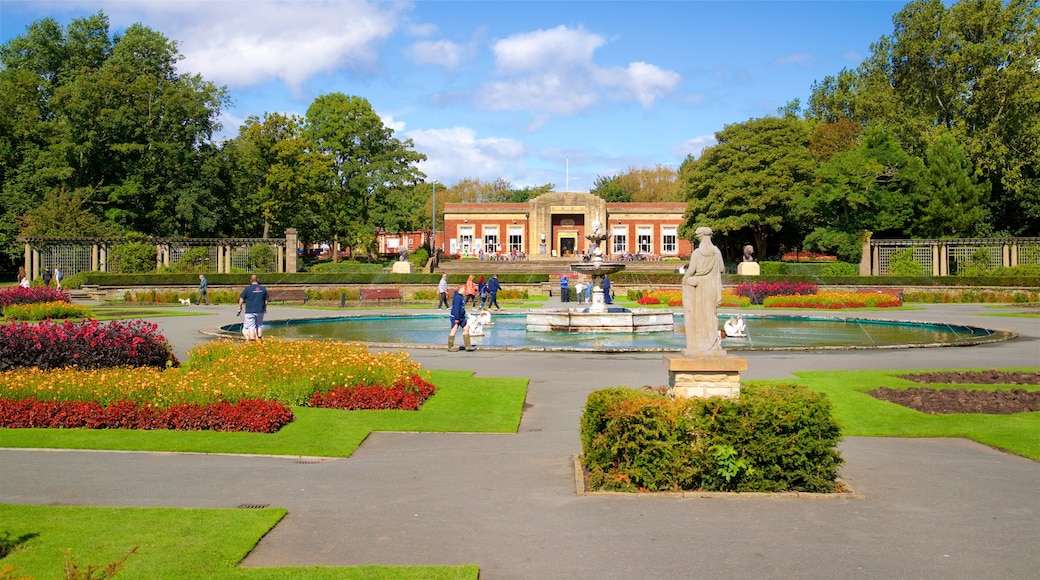 Stanley Park showing wild flowers, a fountain and a park