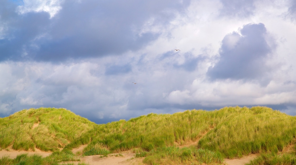 Ainsdale Beach which includes a sandy beach and general coastal views