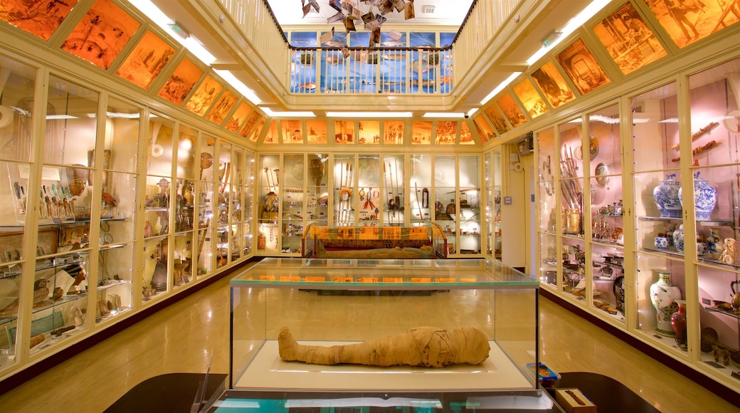 Warrington Museum & Art Gallery caratteristiche di vista interna