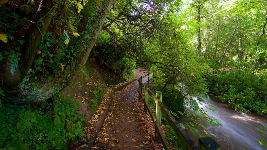 Lymm which includes a river or creek and a garden