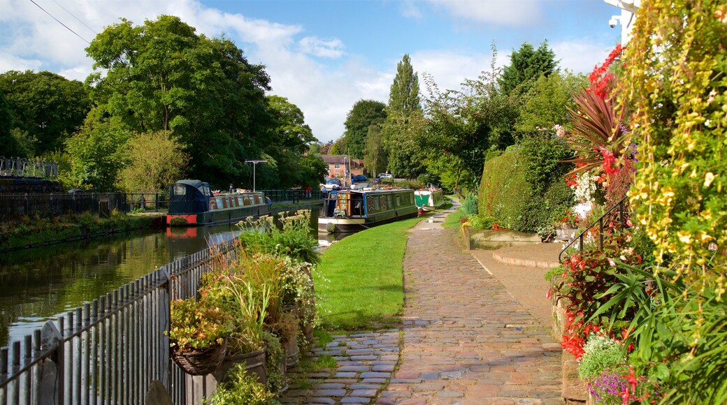 Lymm som viser vilde blomster, en flod eller et vandløb og en have