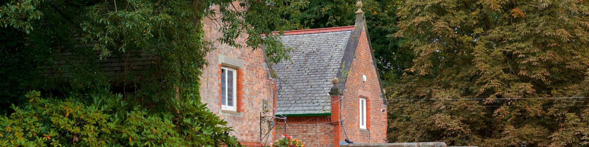 Warrington which includes a garden, flowers and wild flowers