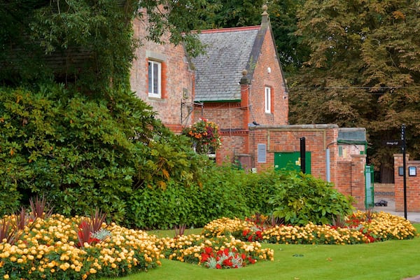 Warrington which includes a garden, flowers and wild flowers