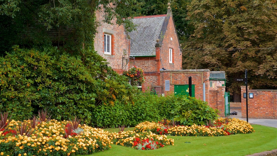 Warrington que incluye flores, flores salvajes y un parque